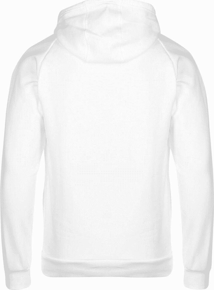 Džemperis vīriešiem Adidas Core 18 Hoody M FS1895 cena un informācija | Vīriešu jakas | 220.lv