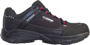 Обувь DK  Outdoor цена и информация | Кроссовки для мужчин | 220.lv