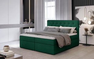 Кровать NORE Loree 08, 160x200 см, зеленая цена и информация | Кровати | 220.lv