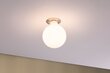 LED Globe 125 9W E27 Opāla siltā baltā Dimmable цена и информация | Spuldzes | 220.lv