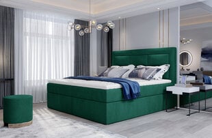 Кровать NORE Vivre 12, 160x200 см, темно-зеленая цена и информация | Кровати | 220.lv