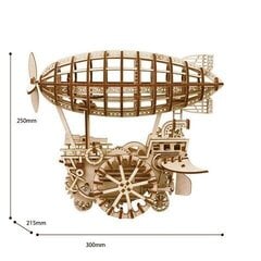 Robotime Air vehicle 3D puzle cena un informācija | Konstruktori | 220.lv