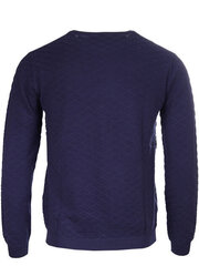Vīriešu džemperis Gant cena un informācija | Vīriešu džemperi | 220.lv