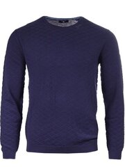 Свитер мужской Gant цена и информация | Мужские свитера | 220.lv
