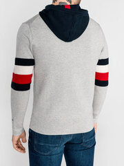 Свитер для мужчин Tommy Hilfiger, серый цена и информация | Мужские свитера | 220.lv