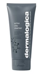 Sejas tīrīšanas līdzeklis taukainai ādai Dermalogica Active Clay, 150 ml cena un informācija | Sejas ādas kopšana | 220.lv