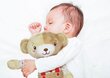 Mīkstā rotaļlieta Lācis Bob Clementoni Baby, 17418 цена и информация | Rotaļlietas zīdaiņiem | 220.lv