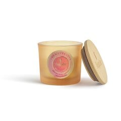 Aromterapeitiska sojas vaska svece Flagolie - Rose Joy/Aromatherapy Collection 170 g cena un informācija | Sveces un svečturi | 220.lv