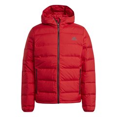 Kуртка Adidas HELIONIC HOODED DOWN цена и информация | Мужские куртки | 220.lv