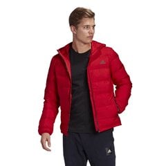 Kуртка Adidas HELIONIC HOODED DOWN цена и информация | Мужские куртки | 220.lv