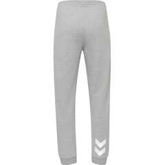 Штаны спортивные для мужчин HUMMEL Go Cotton, серые цена и информация | Мужская спортивная одежда | 220.lv