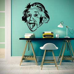 Виниловая наклейка на стену Альберт Эйнштейн, 120 х 114 cм цена и информация | Декоративные наклейки | 220.lv
