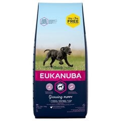 Eukanuba sausā barība Puppy & Junior ar vistu, L, 18 kg cena un informācija | Sausā barība suņiem | 220.lv