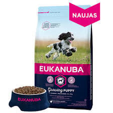 Eukanuba Puppy sausā barība ar svaigu vistu vidējas šķirnes kucēniem līdz 12 mēn. 3 kg cena un informācija | Sausā barība suņiem | 220.lv