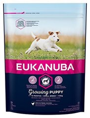 Eukanuba Puppy barība ar svaigu vistu mazo šķirņu kucēniem līdz 12 mēn. 3 kg цена и информация | Сухой корм для собак | 220.lv