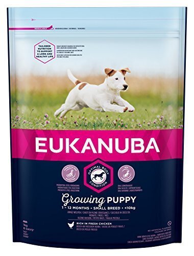 Eukanuba Puppy barība ar svaigu vistu mazo šķirņu kucēniem līdz 12 mēn. 3 kg cena un informācija | Sausā barība suņiem | 220.lv