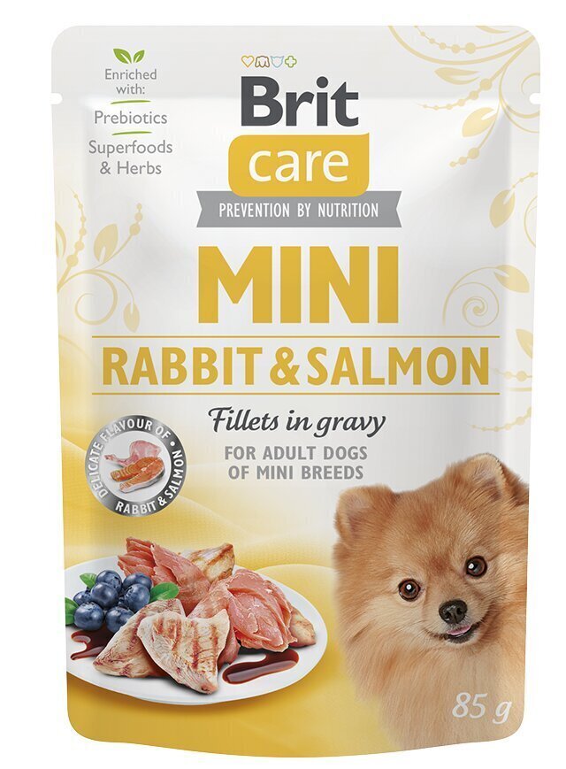 Brit Care Mini Rabbit Konservēts 85g Suņiem cena un informācija | Konservi suņiem | 220.lv