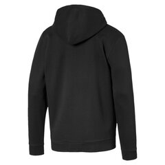 Блуза PUMA Amplified Hooded цена и информация | Мужские толстовки | 220.lv