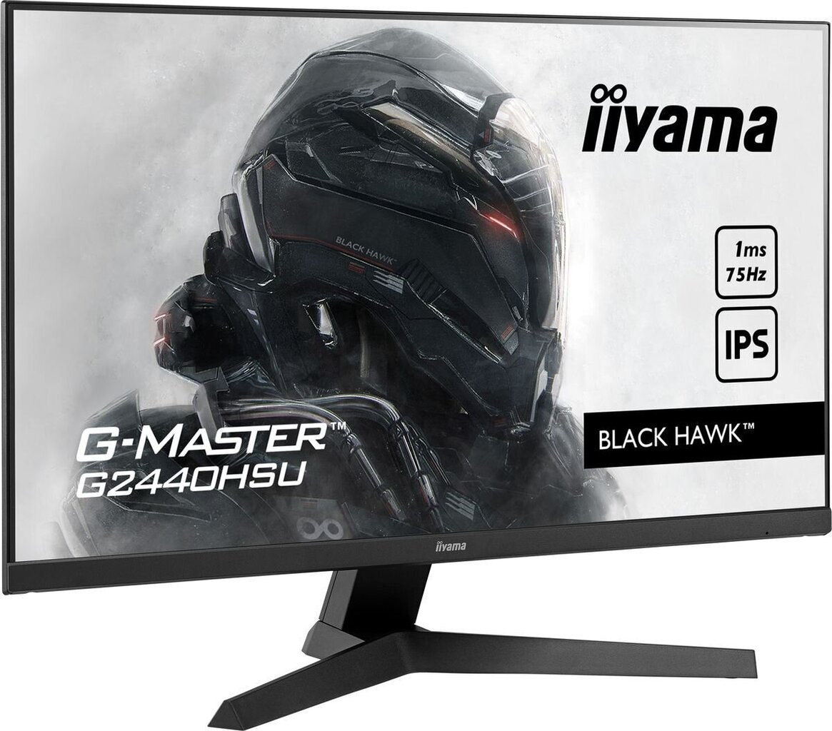 Iiyama G2440HSU-B1 цена и информация | Monitori | 220.lv