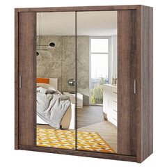 Шкаф с зеркалом Selsey Rinker 200 см, темно-коричневый цена и информация | Шкафы | 220.lv