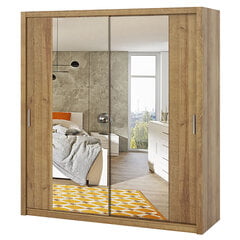 Шкаф Selsey Rinker с зеркалом, 200 см, бежевого цвета цена и информация | Шкафы | 220.lv