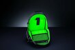 Razer Rogue V3 Black, Waterproof, Backpa цена и информация | Somas portatīvajiem datoriem | 220.lv