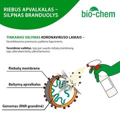 Очиститель поверхностей двойного действия Bio-Chem Viral Cleaner 300, 1 л цена и информация | Очистители | 220.lv