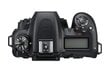 Nikon D7500 + AF-P DX Nikkor 18-55 mm f/3.5-5.6G VR цена и информация | Digitālās fotokameras | 220.lv
