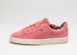 Sieviešu sporta apavi Puma x Careaux Suede Porcelain Rose/Whisper White цена и информация | Спортивная обувь, кроссовки для женщин | 220.lv