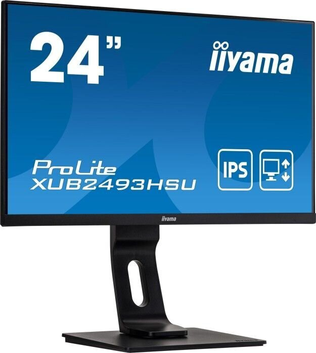 Iiyama 443597 cena un informācija | Monitori | 220.lv