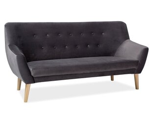 Трехместный бархатный диван Signal Meble Nordic 3, серый цена и информация | Диваны | 220.lv
