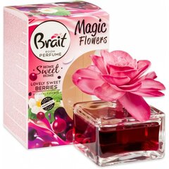 Дымящийся декоративный освежитель воздуха Brait Lovely Sweet Berries, 75 мл цена и информация | Освежители воздуха | 220.lv