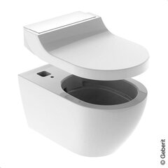 Viedais tualetes pods Geberit AcuaClean Tuma Comfort Rimless ar bidē funkciju un lēni aizveramu vāku 146.291.SI.1 cena un informācija | Tualetes podi | 220.lv