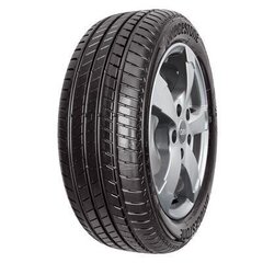 Bridgestone Alenza1 245/45R20 103 W цена и информация | Летняя резина | 220.lv