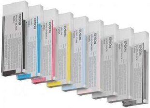 Epson C13T606C00 цена и информация | Картриджи для струйных принтеров | 220.lv