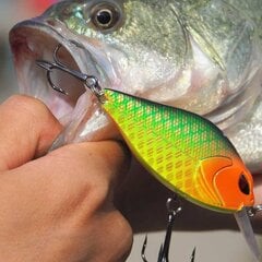 Воблер Banshee Crankbait 58 мм 9 г VKR01-58, зеленый цена и информация | Воблеры, приманки, блесны | 220.lv