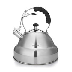 Fissman чайник из нержавеющей стали Alba, 4,5 л цена и информация | Чайники, кофейники | 220.lv
