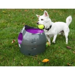 Автоматическая пусковая установка для мячей PetSafe, 9 м цена и информация | Игрушки для собак | 220.lv