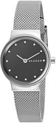 Женские часы Skagen Freja SKW2667 цена и информация | Женские часы | 220.lv