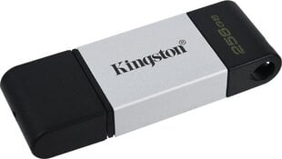 USB Kingston DataTraveler 80 256 GB, USB-C цена и информация | USB накопители | 220.lv