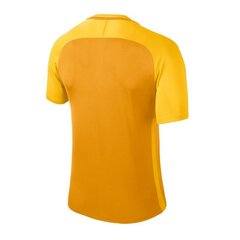Спортивная футболка Nike Treeningsärk Dry Team Trophy III Jersey цена и информация | Мужская спортивная одежда | 220.lv