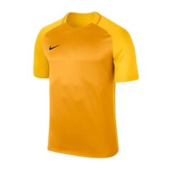 Спортивная футболка Nike Treeningsärk Dry Team Trophy III Jersey цена и информация | Мужская спортивная одежда | 220.lv