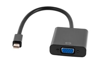 Cabletech Video Adapteris mini Display Port uz VGA Melns cena un informācija | Adapteri un USB centrmezgli | 220.lv