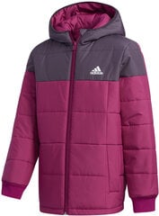 Куртка Adidas  Yk J Padding Purple цена и информация | Куртки, пальто для девочек | 220.lv