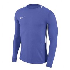 Vārtsarga krekls Nike Park III Goalkeeper LS Jersey Junior цена и информация | Рубашки для мальчиков | 220.lv