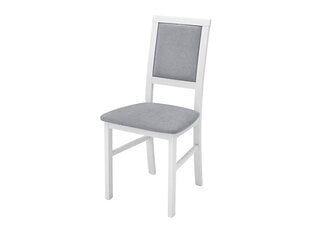 2-u krēslu komplekts BRW Robi, pelēks/balts цена и информация | Стулья для кухни и столовой | 220.lv