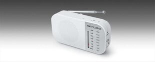 Muse M-025RW цена и информация | Радиоприемники и будильники | 220.lv