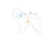 Amiplay krekliņš suņiem Polo Oxford Miniature Schnauzer, L, sarkans цена и информация | Apģērbi suņiem | 220.lv