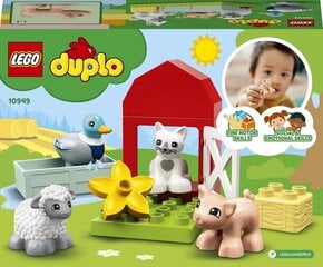 10949 LEGO® DUPLO Town для ухода за животными цена и информация | Конструкторы | 220.lv
