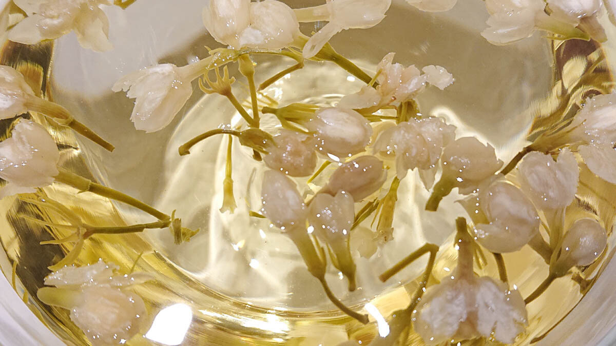 Jasmīnu ziedu pumpuru tēja, Jasmine Flower Buds, 100 g цена и информация | Tēja | 220.lv